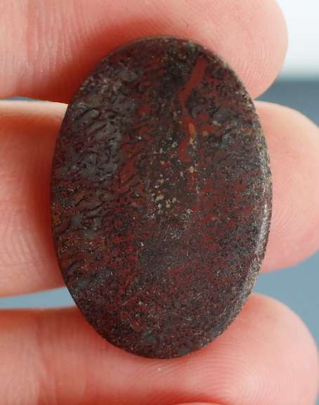 Awesome 23.87ct cabochon cut from dinosaur bone