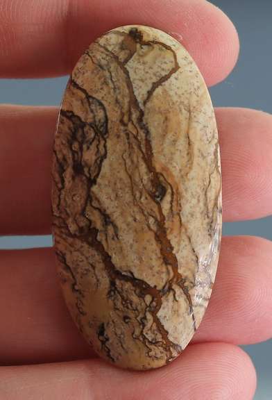 Collectors 56.90ct Desert Mountain Jasper