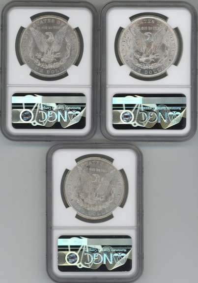3 Diff. Blazing-white nearly Gem BU Morgan Silver Dollars. NGC MS64