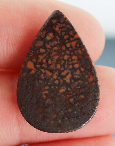 Exciting 16.29ct cabochon cut from dinosaur bone