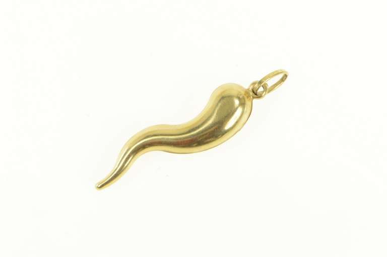 14K Yellow Gold Italian Horn Traditional Protection Charm/Pendant