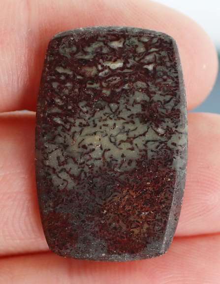 Awesome 18.65ct cabochon cut from dinosaur bone