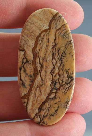 Collectors 56.90ct Desert Mountain Jasper
