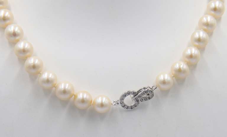 Fancy White Fresh Water Pearl Necklace