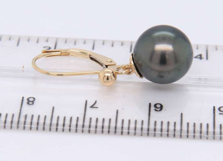 Gorgeous Yellow Gold Tahitian Black Pearl Dangle Earrings