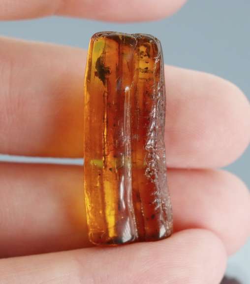 Stunning 10.89ct Baltic Amber with insects