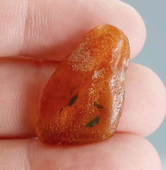 Awesome 4.29ct Baltic Amber with insects