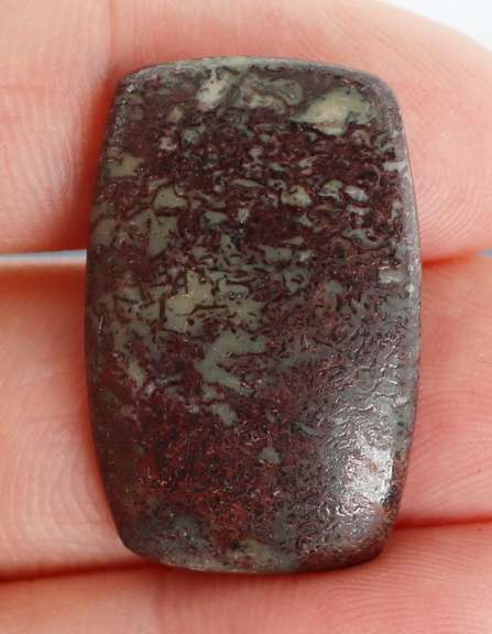 Awesome 18.65ct cabochon cut from dinosaur bone