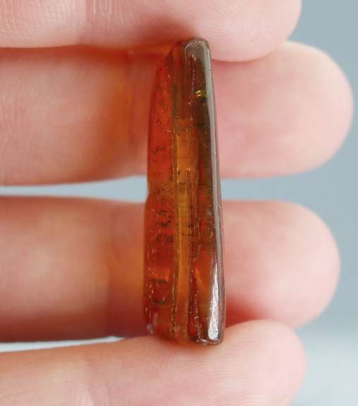 Stunning 10.89ct Baltic Amber with insects