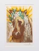 Salvador Dali lithograph on paper signed in the plate