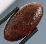 Great 10.69ct cabochon cut from dinosaur bone