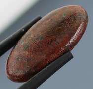 Great 10.69ct cabochon cut from dinosaur bone