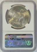 Super near Gem BU 1925 Peace Silver Dollar. NGC MS64