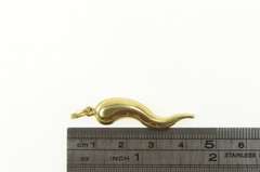 14K Yellow Gold Italian Horn Traditional Protection Charm/Pendant