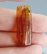Stunning 10.89ct Baltic Amber with insects