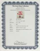 Extremely rare and collectable signed Mr. Brainwash