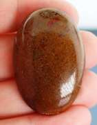 Huge 83.56ct cabochon cut from dinosaur bone