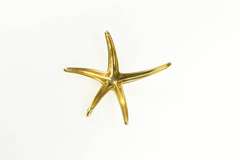 18K Yellow Gold Tiffany & Co. Elsa Peretti Starfish Designer Pendant