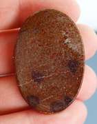 Huge 83.56ct cabochon cut from dinosaur bone