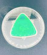 50cent sterling silver triangle coin, milk delivery