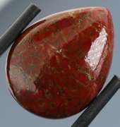 Stunning 10.19ct cabochon cut from dinosaur bone