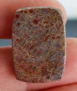 Excellent 22.95ct cabochon cut from dinosaur bone