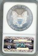 2010 American Silver Eagle in NGC MS69 Early Release