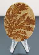 Tremendous 92.44ct German Psilomelane Dendrite