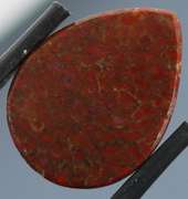 Stunning 10.19ct cabochon cut from dinosaur bone