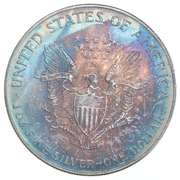 1995 American Silver Eagle Toned