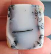 Exotic 51.63ct Turkish Dendrite Opal