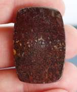 Superb 34.44ct cabochon cut from dinosaur bone