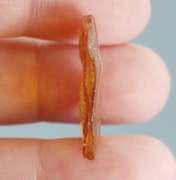 Awesome 4.29ct Baltic Amber with insects