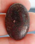 Awesome 23.87ct cabochon cut from dinosaur bone