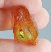 Awesome 4.29ct Baltic Amber with insects