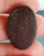 Awesome 23.87ct cabochon cut from dinosaur bone