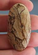 Collectors 56.90ct Desert Mountain Jasper