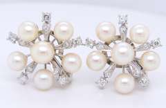 Fantastic White Gold Pearl and Diamond Star Earrings