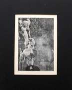 Gustav Klimt, 1920 Rare limited edition offset lithograph