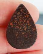 Exciting 16.29ct cabochon cut from dinosaur bone