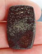 Awesome 18.65ct cabochon cut from dinosaur bone