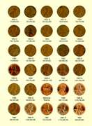 Set of Lincoln Wheat Cents 1941-1974-S in Album