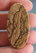 Collectors 56.90ct Desert Mountain Jasper