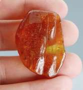 Exciting 26.41ct Baltic Amber with insects