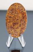Intricate 62.97ct calligraphers stone Jasper