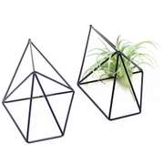 2 Pcs Wall Mounted Geometric Flower Stand Wall Hanging