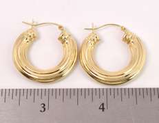 Dazzling Golden Hoop Earrings in 14K Yellow Gold