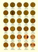 Set of Lincoln Wheat Cents 1941-1974-S in Album