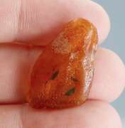 Awesome 4.29ct Baltic Amber with insects