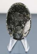 Stunning 63.60ct Nipomo Agate with Marcasite cabochon